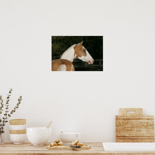 Paint Horse Headshot 2 Poster (Küche)