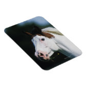 Paint Horse Headshot 3 Magnet (Rechte Seite)