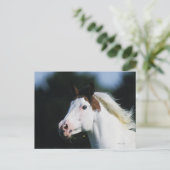 Paint Horse Headshot 3 Postkarte (Stehend Vorderseite)
