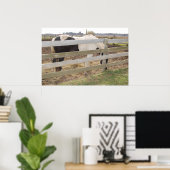 Paint Horse in Corral Poster (Heimbüro)