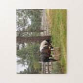 Paint Horse in Field Jigsaw Puzzle (Vertikal)