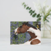 Paint Horse in Field of Wildflowers Postkarte (Stehend Vorderseite)