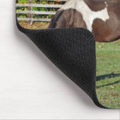 Paint Horse in Herbstweide Mousepad (Ecke)
