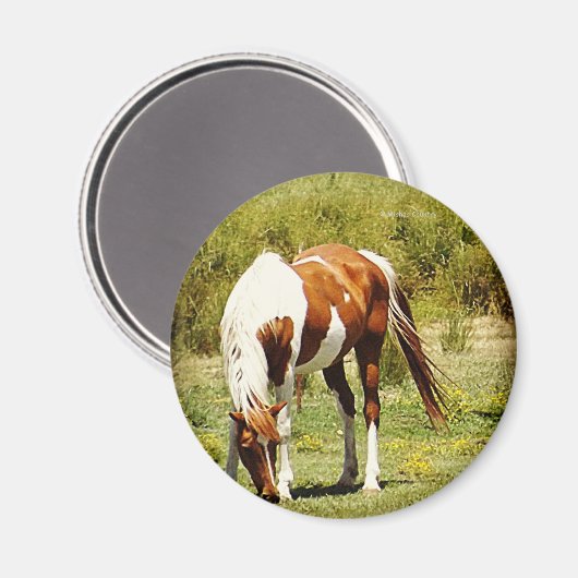 Paint Horse Magnet (Vorderseite/Rückseite)