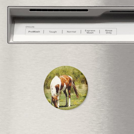 Paint Horse Magnet (In Situ (Geschirrspüler))