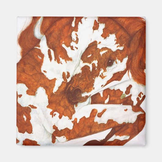 Paint Horse Magnet (Vorne)