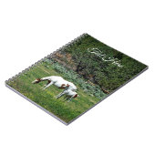 Paint Horse Mare and Foal Personalisiert Notizblock (Linke Seite)