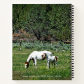 Paint Horse Mare and Foal Personalisiert Notizbuch (Rückseite)