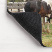 Paint Horse Mousepad (Ecke)
