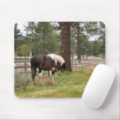 Paint Horse Mousepad (Mit Mouse)