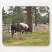 Paint Horse Mousepad (Vorne)