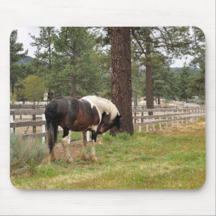 Paint Horse Mousepad