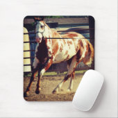 Paint Horse Mousepad (Mit Mouse)
