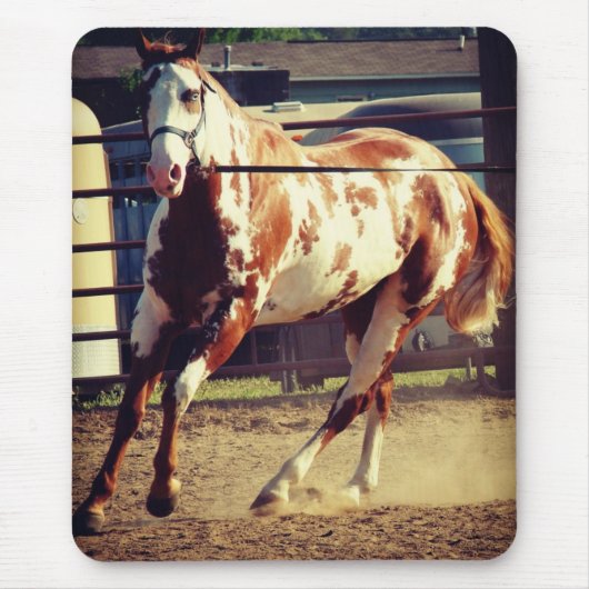 Paint Horse Mousepad (Vorne)