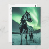 Paint Horse Northern Lights Postkarte (Vorne/Hinten)