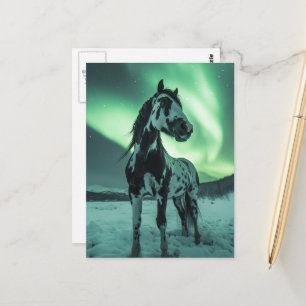 Paint Horse Northern Lights Postkarte