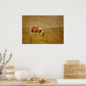 Paint Horse on Prairie Poster (Küche)