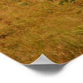 Paint Horse on Prairie Poster (Ecke)