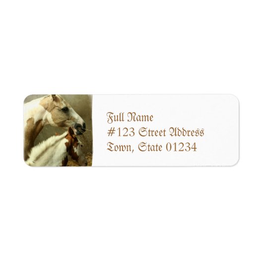Paint Horse Pair Mailing Label (Vorne)