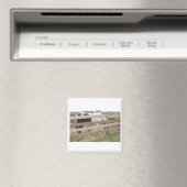Paint Horse/Pinto Magnet (In Situ (Geschirrspüler))