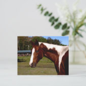 Paint Horse Portrait Artwork Ölgemälde Postkarte (Stehend Vorderseite)