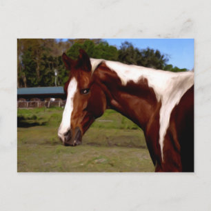 Paint Horse Portrait Artwork Ölgemälde Postkarte