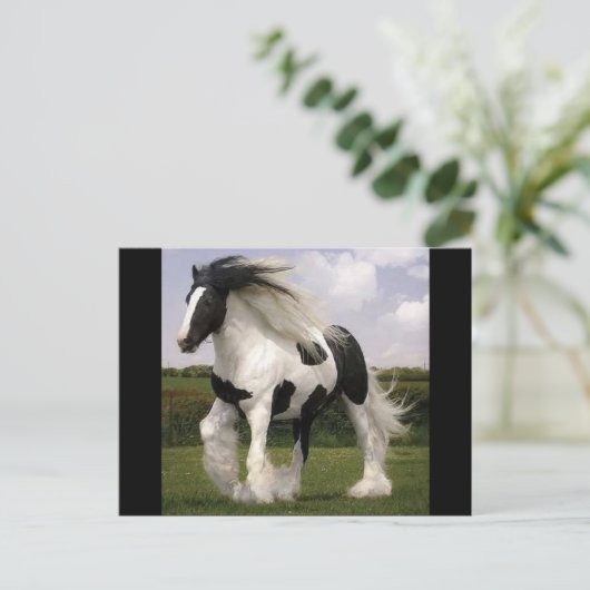 Paint Horse Postcard Postkarte (Stehend Vorderseite)