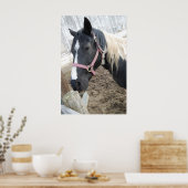 Paint Horse Poster (Küche)