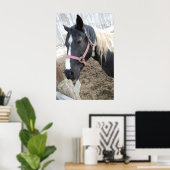 Paint Horse Poster (Heimbüro)