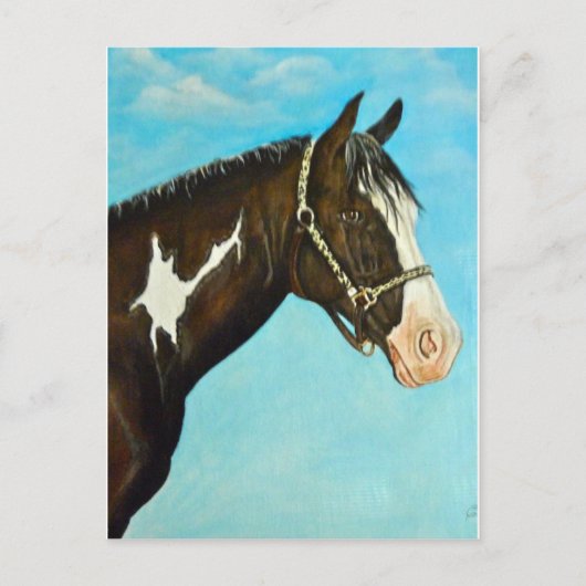 Paint Horse Postkarte (Vorderseite)