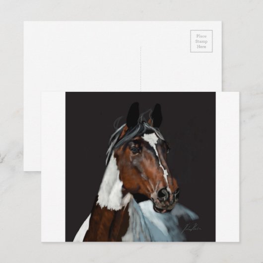 Paint Horse Postkarte (Vorne/Hinten)