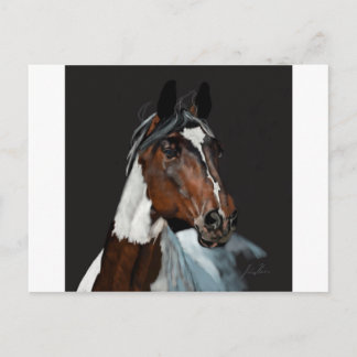 Paint Horse Postkarte