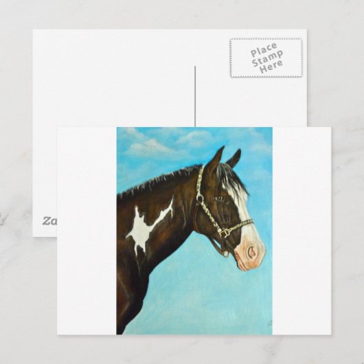 Paint Horse Postkarte (Vorne/Hinten)