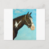 Paint Horse Postkarte (Vorderseite)