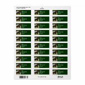 Paint Horse Profile, mit Bridle Green Pasta (Vorne)