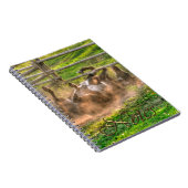 Paint Horse Rolling in Dust Funny Equine Foto Notizblock (Rechte Seite)