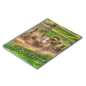 Paint Horse Rolling in Dust Funny Equine Foto Notizblock (Linke Seite)