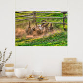 Paint Horse Rolling in Dust Funny Equine Foto Poster (Küche)
