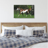 Paint Horse Running 1 Leinwanddruck (Insitu (Schlafzimmer))