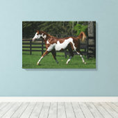 Paint Horse Running 1 Leinwanddruck (Insitu (Holzboden))
