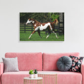 Paint Horse Running 1 Leinwanddruck (Insitu (Wohnzimmer))