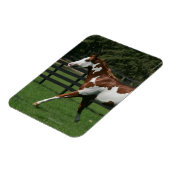 Paint Horse Running 1 Magnet (Linke Seite)