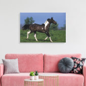 Paint Horse Running 2 Leinwanddruck (Insitu (Wohnzimmer))