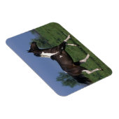 Paint Horse Running 2 Magnet (Rechte Seite)