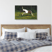 Paint Horse Running in Field of Blume Leinwanddruck (Insitu (Schlafzimmer))