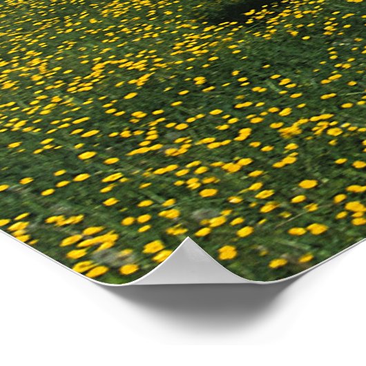 Paint Horse Running in Field of Blume Poster (Ecke)