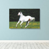 Paint Horse Running in Grassy Field Leinwanddruck (Insitu (Holzboden))