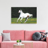 Paint Horse Running in Grassy Field Leinwanddruck (Insitu (Wohnzimmer))