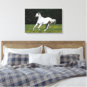 Paint Horse Running in Grassy Field Leinwanddruck (Insitu (Schlafzimmer))