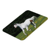 Paint Horse Running in Grassy Field Magnet (Linke Seite)